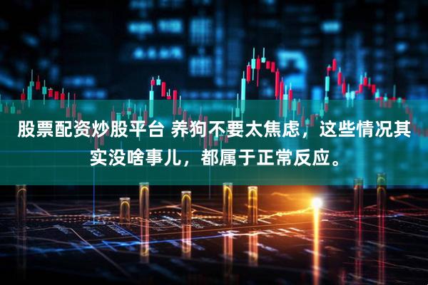 股票配资炒股平台 养狗不要太焦虑，这些情况其实没啥事儿，都属于正常反应。